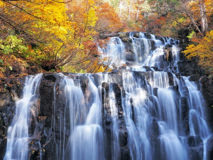 秋田県の名所「安の滝」